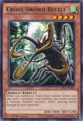 Cross-Sword Beetle