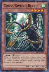 Cross-Sword Beetle