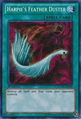 Harpie's Feather Duster