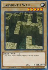 Labyrinth Wall