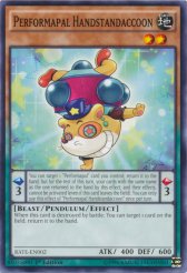 Performapal Handstandaccoon