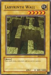 Labyrinth Wall