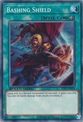 Bashing Shield